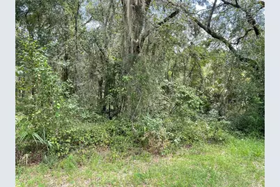 Lots 13 & 14 SW Shorewood Drive, Dunnellon, FL 34431 - Photo 4