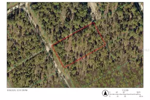 0 SW 127 Ave Rd, Ocala, FL 34481 - Photo 1