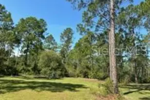 8741 E Hwy 318, Citra, FL 32113 - Photo 26