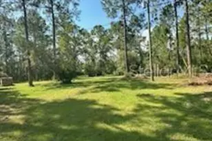 8741 E Hwy 318, Citra, FL 32113 - Photo 32