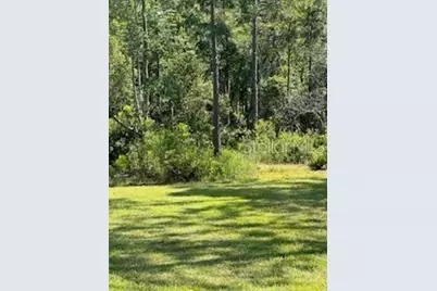 8741 E Highway 318, Citra, FL 32113 - Photo 28