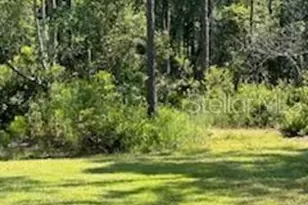 8741 E Hwy 318, Citra, FL 32113 - Photo 28