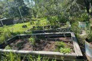 8741 E Hwy 318, Citra, FL 32113 - Photo 24