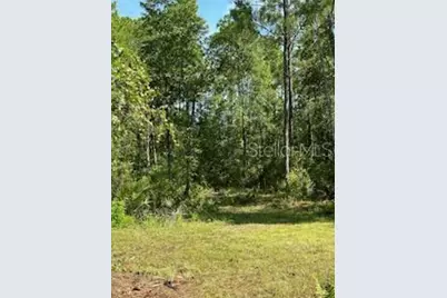 8741 E Highway 318, Citra, FL 32113 - Photo 30
