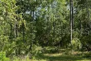 8741 E Hwy 318, Citra, FL 32113 - Photo 30