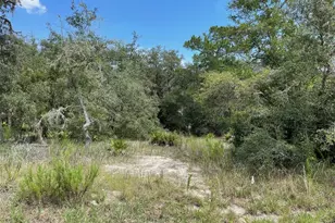 Lots 462 & 463 SW Shorewood Dr, Dunnellon, FL 34431 - Photo 1