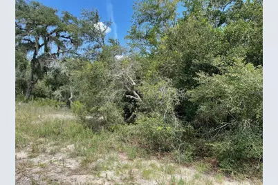 Lots 462 & 463 SW Shorewood Drive, Dunnellon, FL 34431 - Photo 2