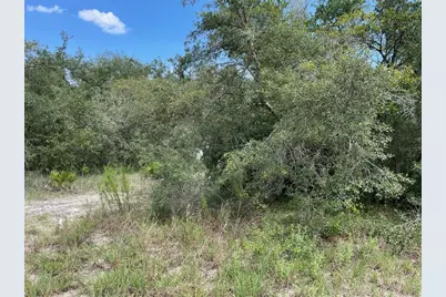 Lots 462 & 463 SW Shorewood Drive, Dunnellon, FL 34431 - Photo 8