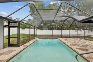 2554 Rolling Oaks Dr, Palm Harbor, FL 34683 - Photo 38