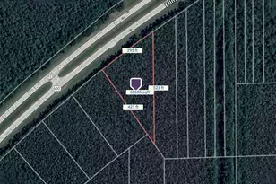 Tbd E International Speedway Blvd, Deland, FL 32724 - Photo 1