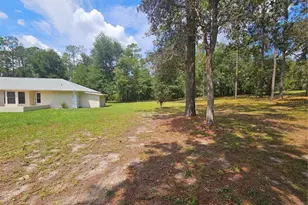 9000 SW 206th Ct Rd, Dunnellon, FL 34431 - Photo 32