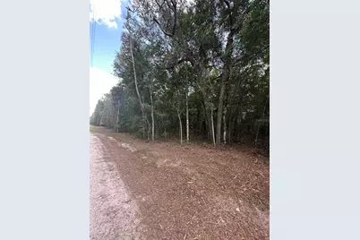 Tbd NE 234th Place, Fort Mc Coy, FL 32134 - Photo 1