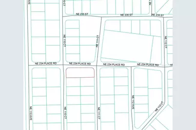 Tbd NE 234th Place, Fort Mc Coy, FL 32134 - Photo 4