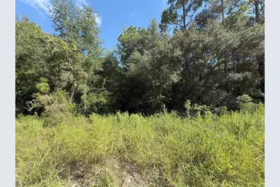 Tbd SW 40th Street, Dunnellon, FL 34432 - Photo 2
