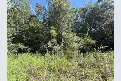 Tbd SW 40th Street, Dunnellon, FL 34432 - Photo 4