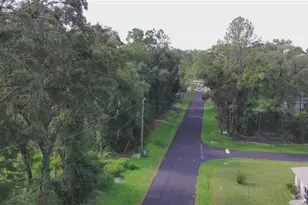 17574 SW 112th Pl, Dunnellon, FL 34432 - Photo 24