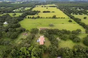 553 NE 205 Ave, Williston, FL 32696 - Photo 32