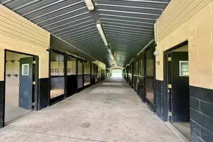 553 NE 205 Ave, Williston, FL 32696 - Photo 42