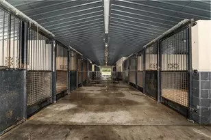 553 NE 205 Ave, Williston, FL 32696 - Photo 20