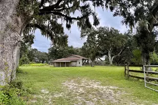 553 NE 205 Ave, Williston, FL 32696 - Photo 50