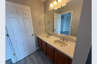 20460 Needletree Drive, Tampa, FL 33647 - Photo 28