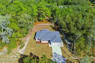 11 Bay Pl, Ocklawaha, FL 32179 - Photo 2