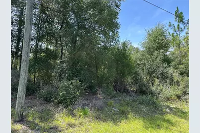 1498 E Carson Road, Dunnellon, FL 34434 - Photo 1