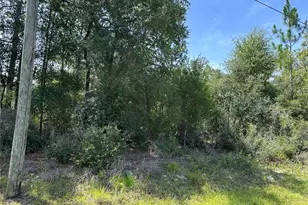 1498 E Carson Rd, Dunnellon, FL 34434 - Photo 1