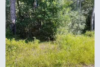 Tbd St Benedict  Drive Lot 113 Drive, Dunnellon, FL 34432 - Photo 2