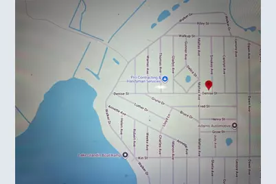 2008 Denise Street, Interlachen, FL 32148 - Photo 4