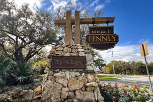 3031 Hicks Pl, The Villages, FL 32163 - Photo 60