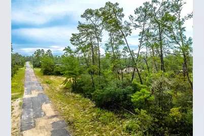 8109 N Wayside Avenue, Dunnellon, FL 34433 - Photo 14