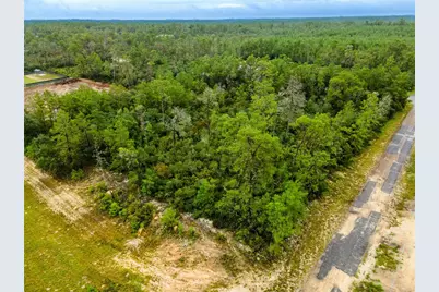 8109 N Wayside Avenue, Dunnellon, FL 34433 - Photo 4