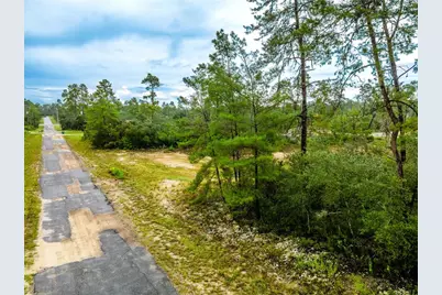 8109 N Wayside Avenue, Dunnellon, FL 34433 - Photo 2