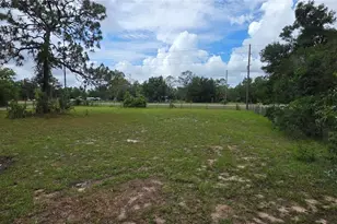 7971 E Hwy 25, Belleview, FL 34420 - Photo 74