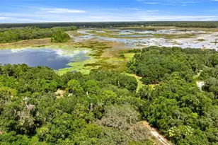 11990 SE 112th Avenue Rd, Belleview, FL 34420 - Photo 46