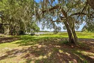 11990 SE 112th Avenue Rd, Belleview, FL 34420 - Photo 6