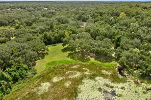 11990 SE 112th Avenue Rd, Belleview, FL 34420 - Photo 44