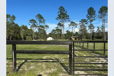 11670 SE 55th Lane, Morriston, FL 32668 - Photo 16