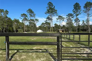 11670 SE 55th Ln, Morriston, FL 32668 - Photo 16