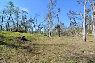 4008 SW 77th Blvd, Jasper, FL 32052 - Photo 22