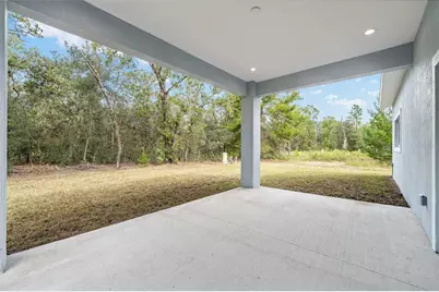 63 Guava Place Drive, Ocklawaha, FL 32179 - Photo 24