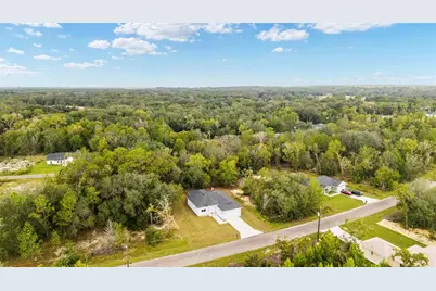 63 Guava Place Drive, Ocklawaha, FL 32179 - Photo 8