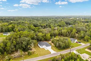 63 Guava Place Dr, Ocklawaha, FL 32179 - Photo 8