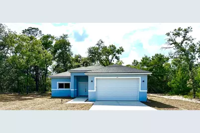 63 Guava Place Drive, Ocklawaha, FL 32179 - Photo 1