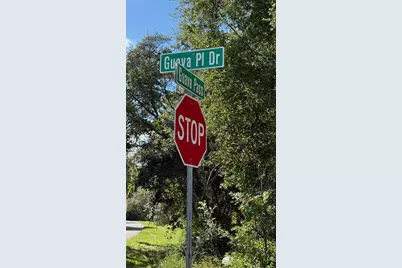 63 Guava Place Drive, Ocklawaha, FL 32179 - Photo 4