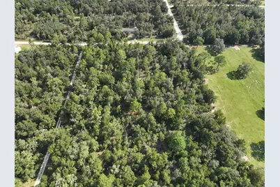 00 NE 150th Terrace, Williston, FL 32696 - Photo 8