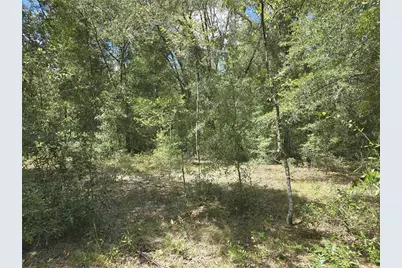 00 NE 150th Terrace, Williston, FL 32696 - Photo 4