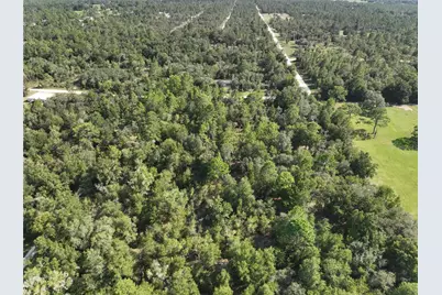 00 NE 150th Terrace, Williston, FL 32696 - Photo 10