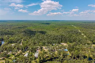 2008 River Road NE, Steinhatchee, FL 32359 - Photo 14